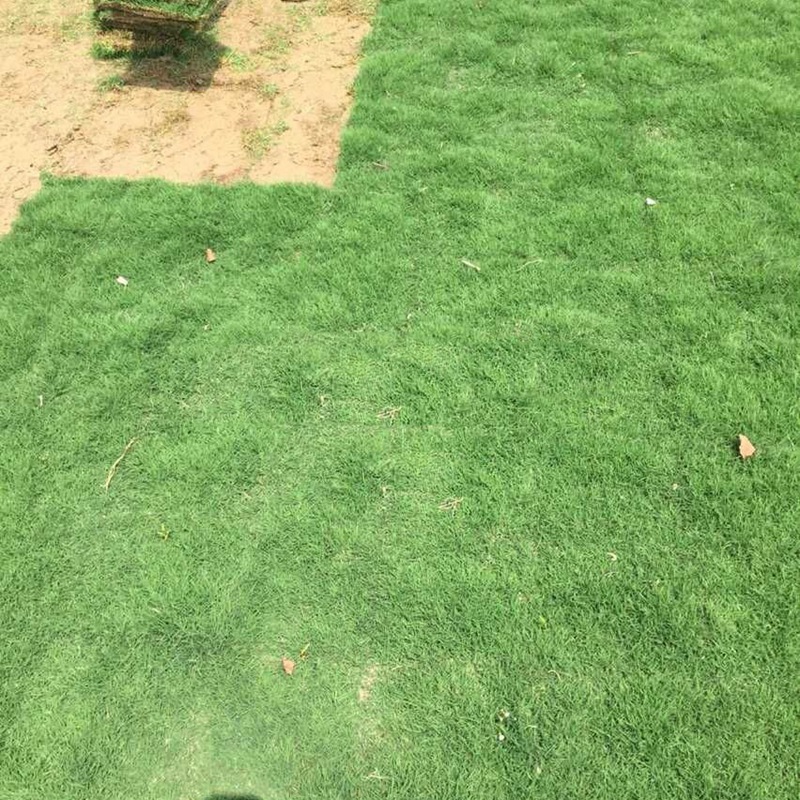 1646888367175318.jpg