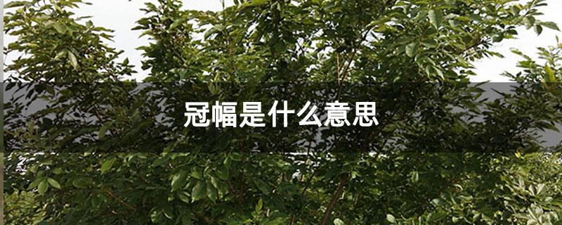 冠幅是什么意思