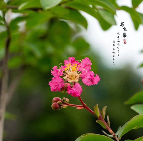 微信圖片_20230112201817.png